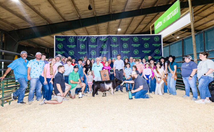  The Future of the Show Ring: Celebrating Young Livestock Champions