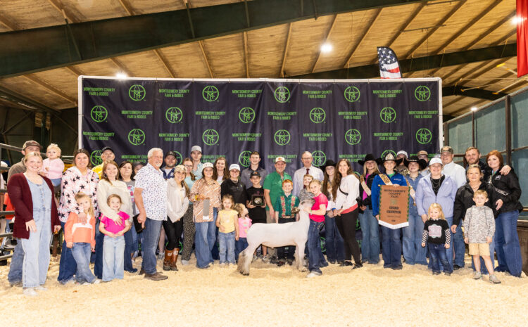  Grand and Reserve Market Lamb Exhibitors named at 2026 Montgomery County Fair