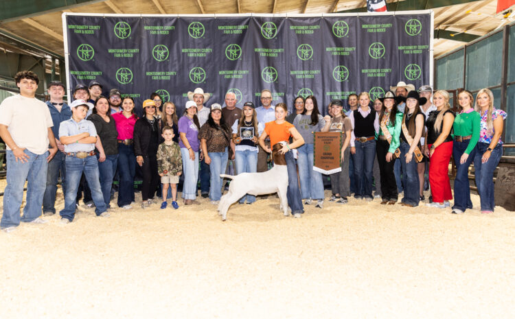  Grand and Reserve Market Goat Champions Named at Montgomery County Fair
